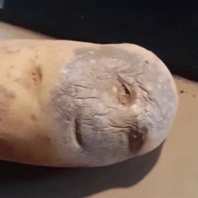 washhothand's profile picture