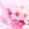りりるー 的头像