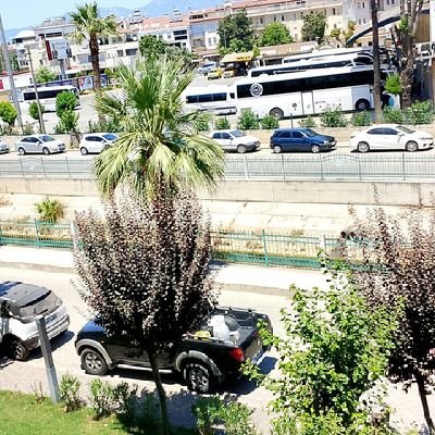 ahmetfato191628's profile picture