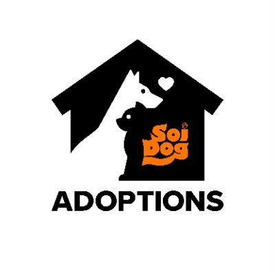 soidogadoptions's profile picture