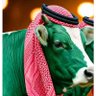 Фото профиля شعب اللـہ البعار