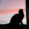 みやこ2 profil fotoğrafı