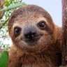 Profilbild von Flem