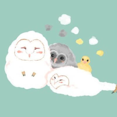 紺野ちゃす🦉's profile picture
