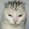 Dåltøñ 🫧🕊️ profil fotoğrafı