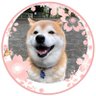 千桜&tkk profil fotoğrafı