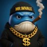 🐳 𝑴𝒓。𝑾𝒉𝒂𝒍𝒆's profile picture