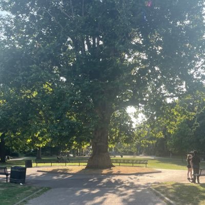 Thomas74325497's profile picture