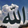 sayed 的头像
