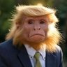 كنعان الكناني's profile picture