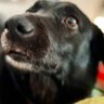 Hek… profil fotoğrafı