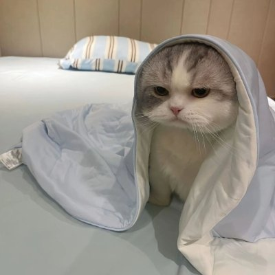 abdxuni's profile picture