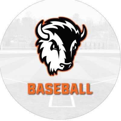 Milligan Baseball's profile picture