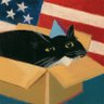 Profilbild von Box Cat DGAF