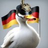 Profilbild von ntlosz 🖤♥️💛