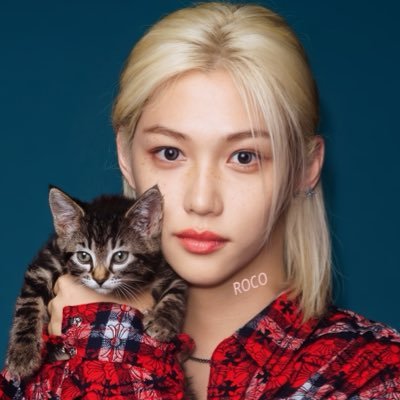 ROCO's profile picture