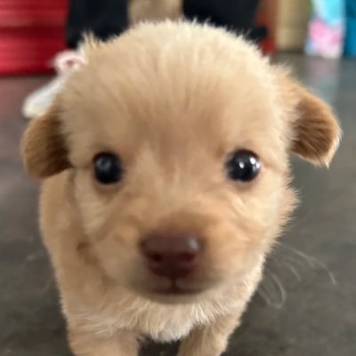 우동 #TASTE's profile picture