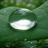 Profilbild von rain drop