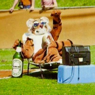 Tiger Commenter's profile picture