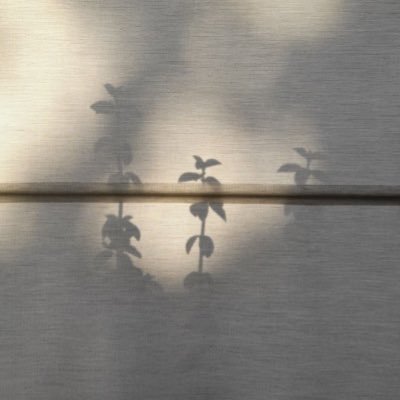 llamilia4's profile picture