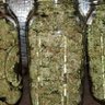 Skunkworks Cannabis's profile picture