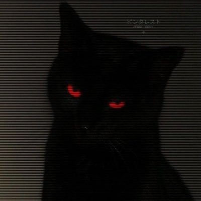apieceofhelll_'s profile picture