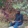 Wandera Wamushya 🇺🇬's profile picture