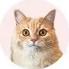 kinaandgoma's profile picture
