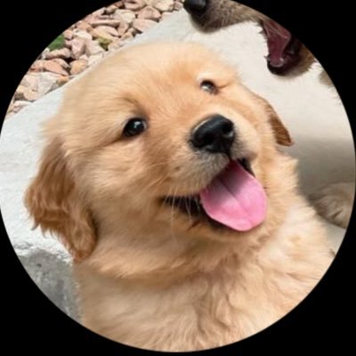 mai wang laew's profile picture