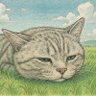 Stephen's profile picture