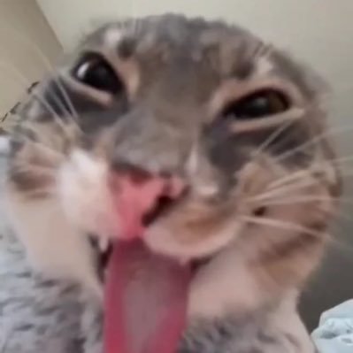 yudí670's profile picture