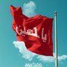 اقا سیدعلی's profile picture