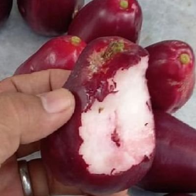 kadekadnya65505's profile picture