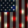 Support Our Troops 🇺🇸 🍊🟦 🇮🇪 的头像