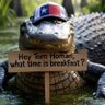 LoneStarGator profil fotoğrafı