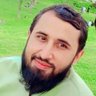 Profilbild von حفیظ نورانی