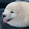 Profilbild von jake