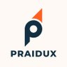 Praidux 的头像