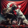 mehmet profil fotoğrafı