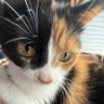 Derped's profile picture