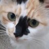 ふみ 的头像