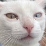 alegria's profile picture