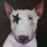 𝐓 𝐡 𝐚 𝐭 𝐨's profile picture