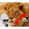 تيكشبيلة تيوليولا 的头像