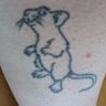 Eb loves rats🖤🐀🤍💜 的头像