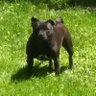 Profilbild von Maxx