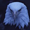 Фото профиля Eagle-Eyes 🦅🇮🇷🇵🇰