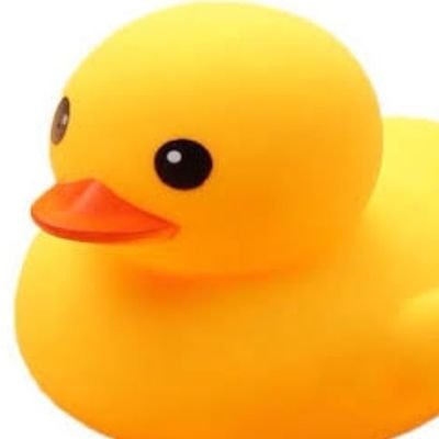 なをみ（新）'s profile picture