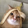 Profilbild von 나나 the G.O.A.T