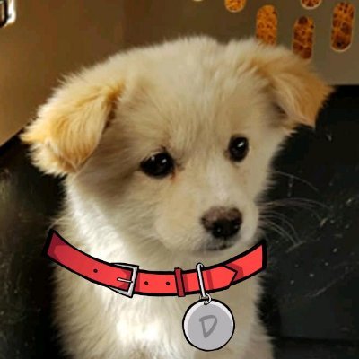 Dougrassola's profile picture